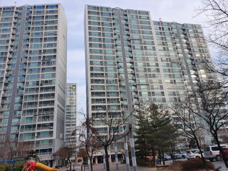 컨텐츠파일