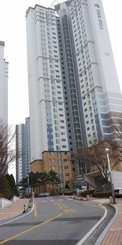 컨텐츠파일