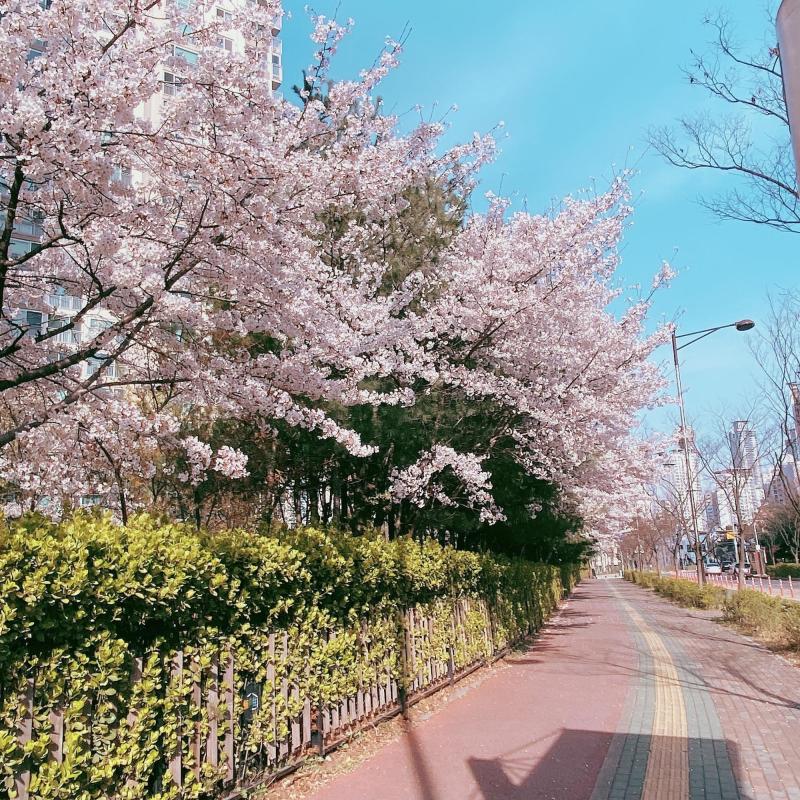컨텐츠파일