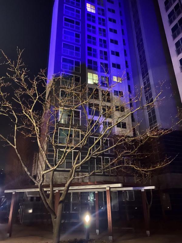 컨텐츠파일