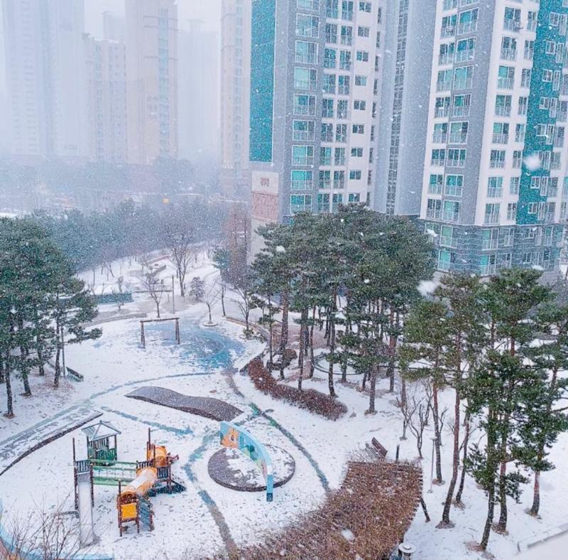 컨텐츠파일
