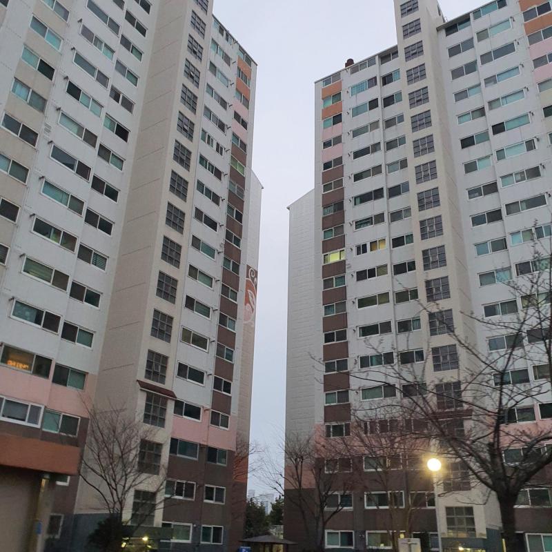 컨텐츠파일