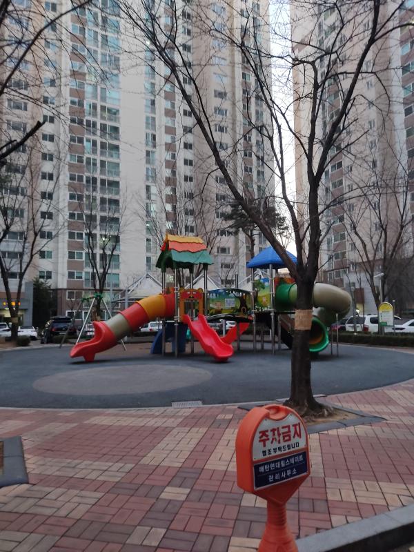 송아지