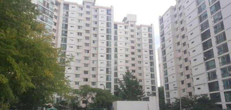 컨텐츠파일