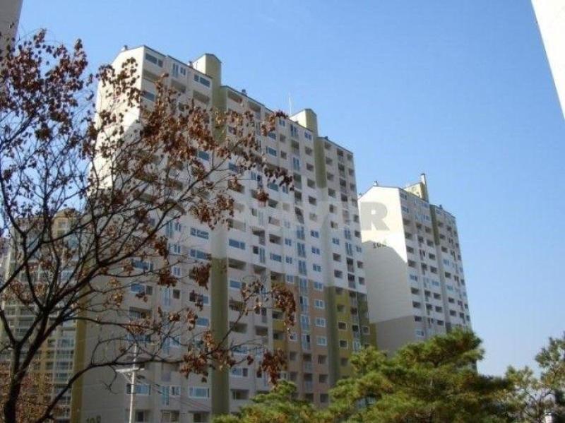 2366심