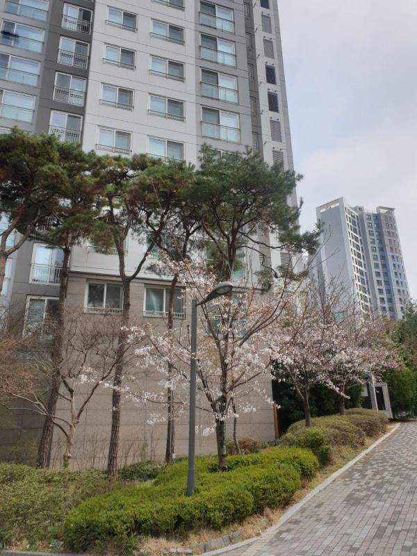 쪼