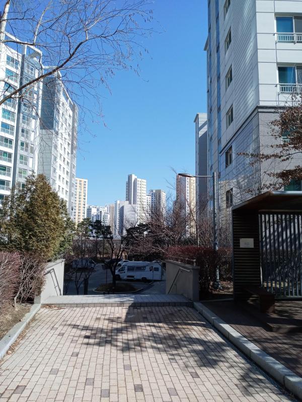 켄트
