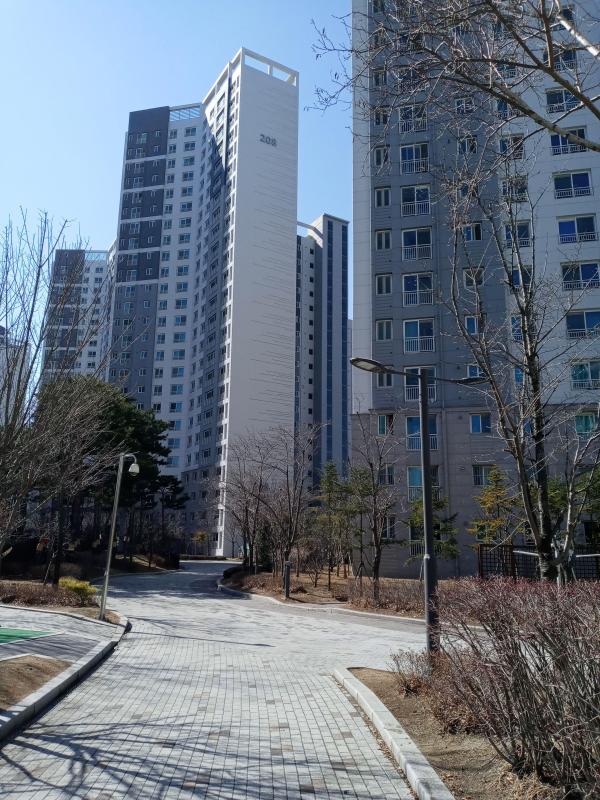 켄트