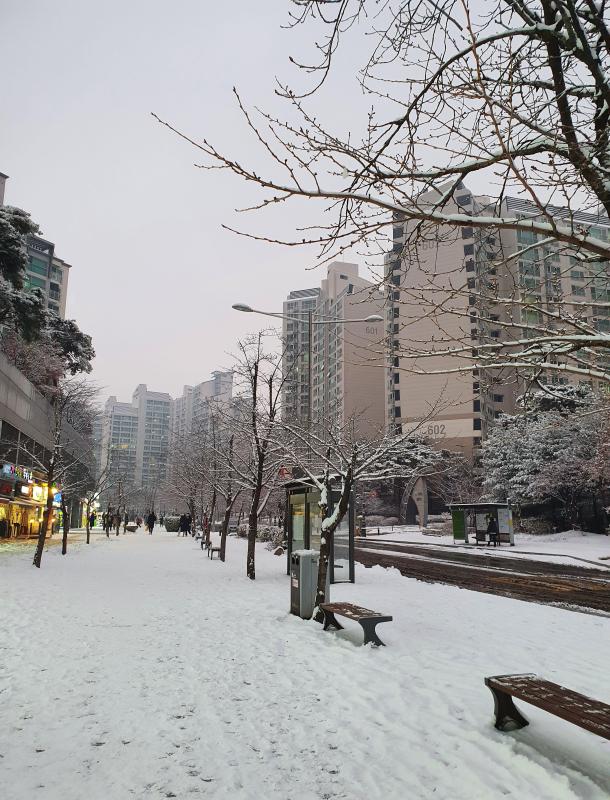 컨텐츠파일