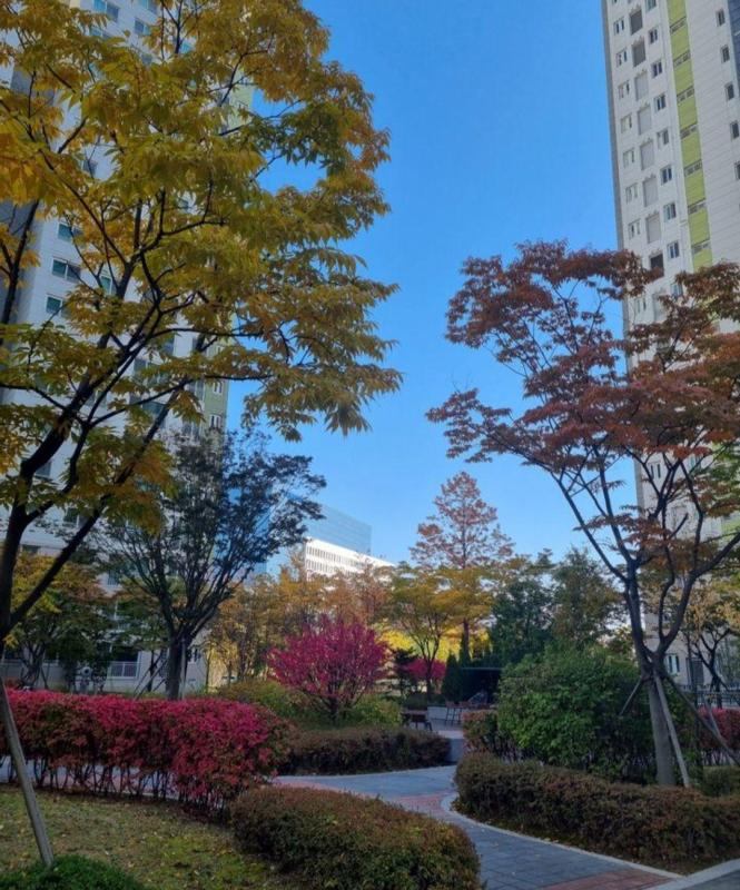컨텐츠파일