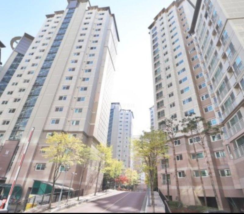 컨텐츠파일