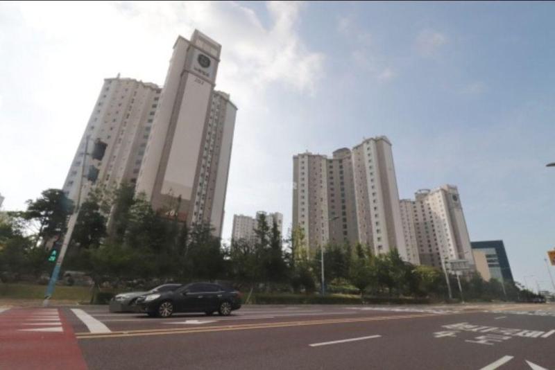 컨텐츠파일