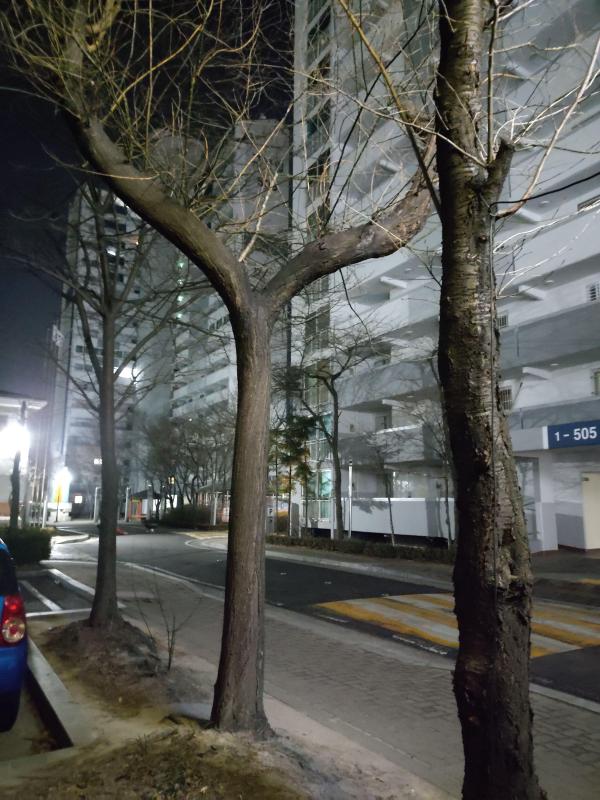컨텐츠파일