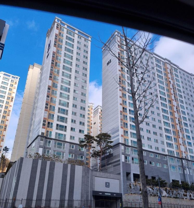 퓨마
