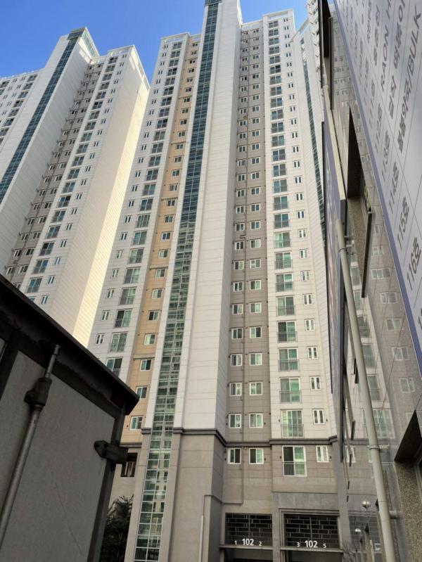 컨텐츠파일