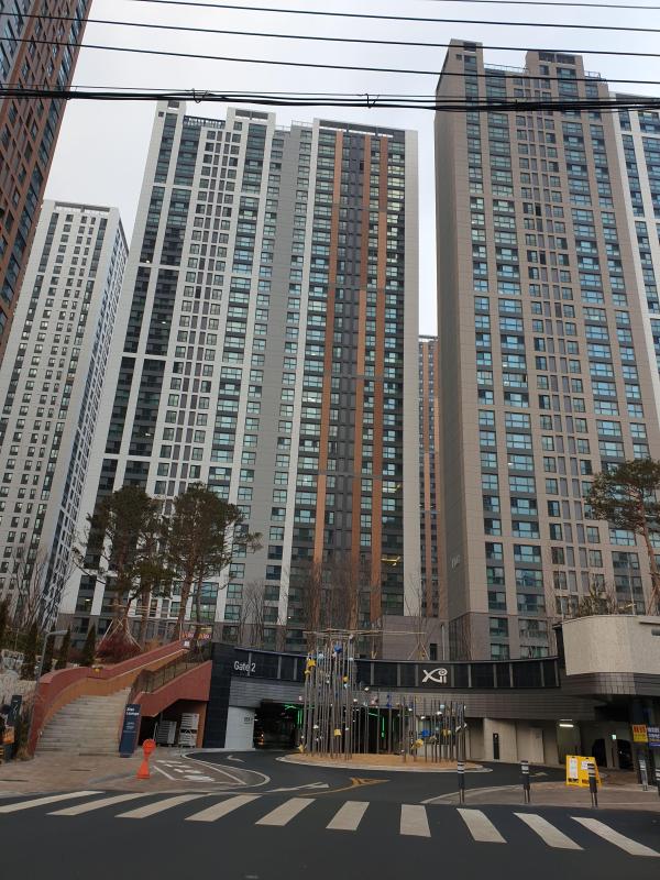 컨텐츠파일