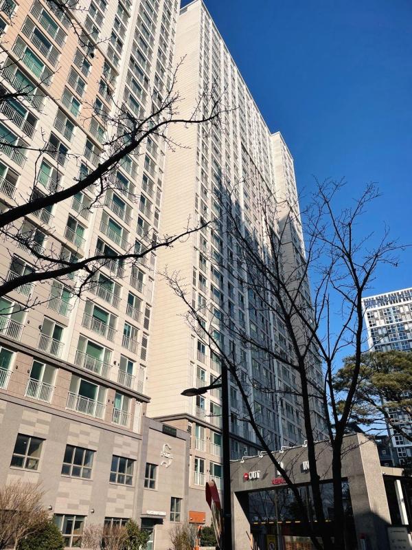 컨텐츠파일
