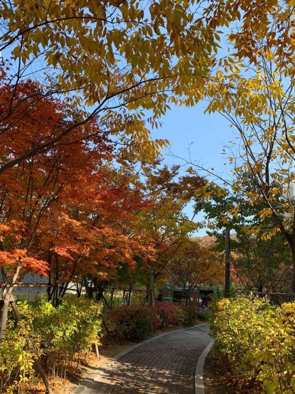 컨텐츠파일