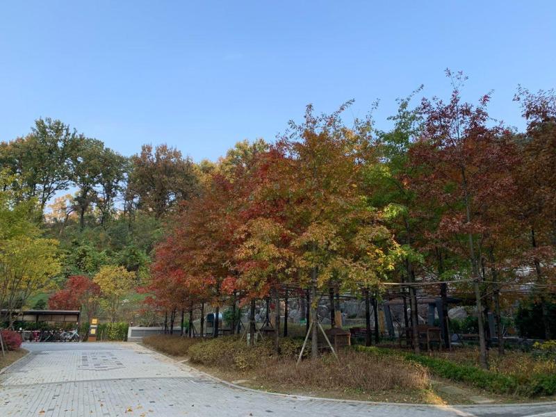 컨텐츠파일