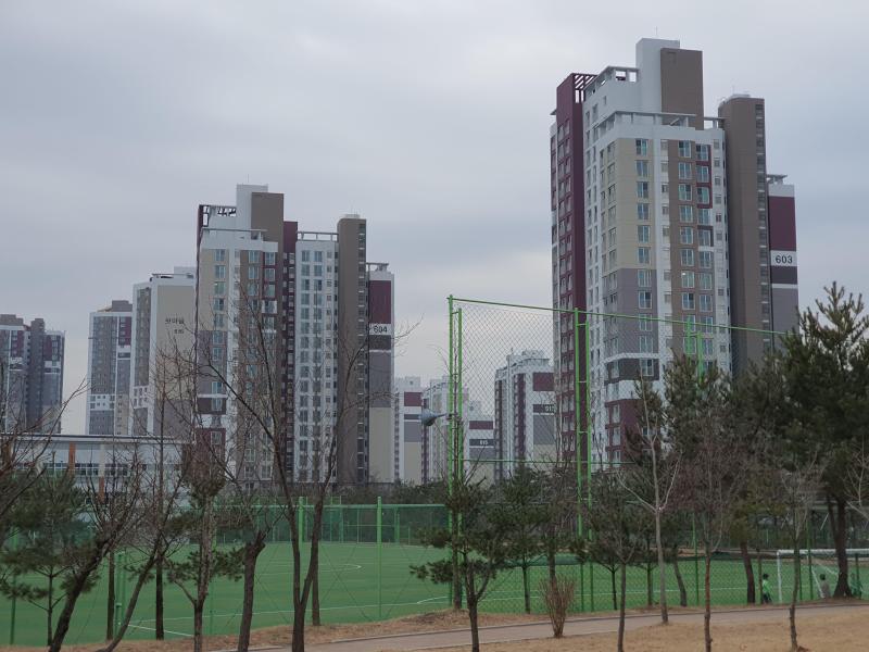 컨텐츠파일