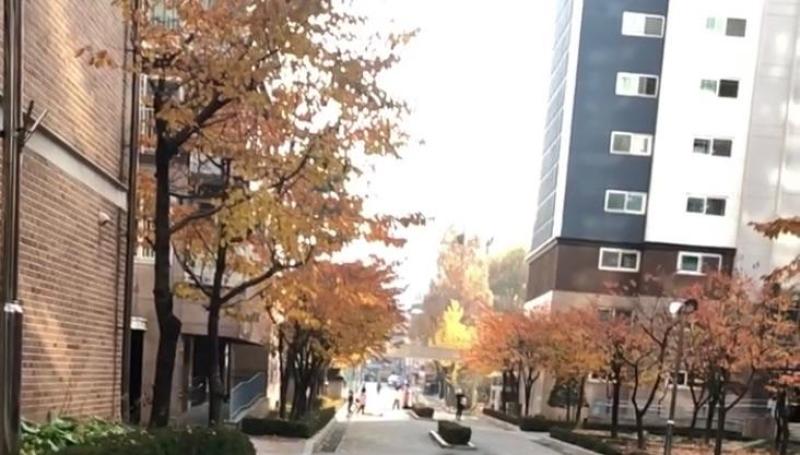 김