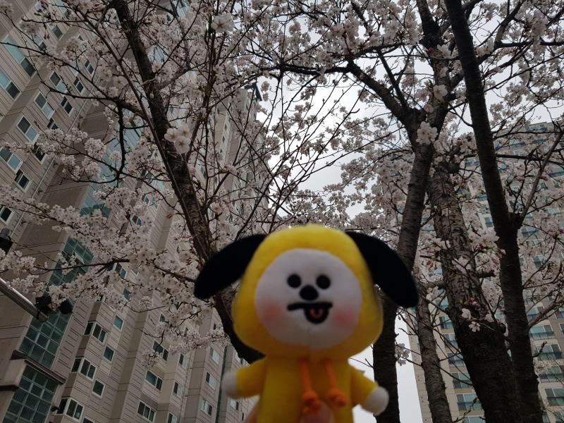 컨텐츠파일