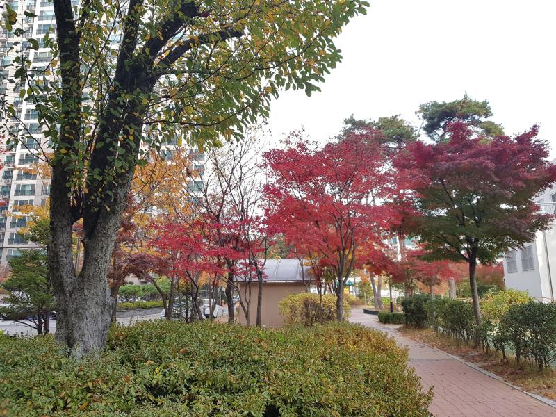 컨텐츠파일