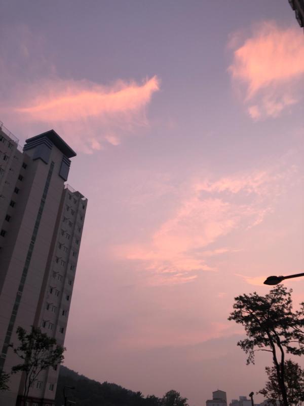 컨텐츠파일