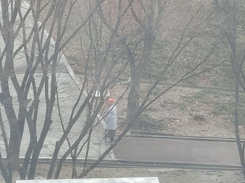 컨텐츠파일