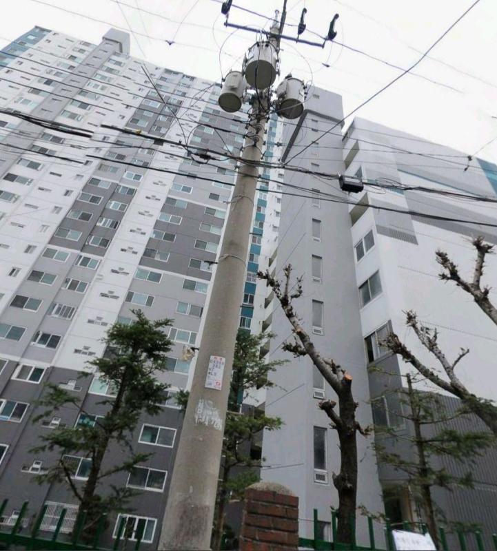 컨텐츠파일