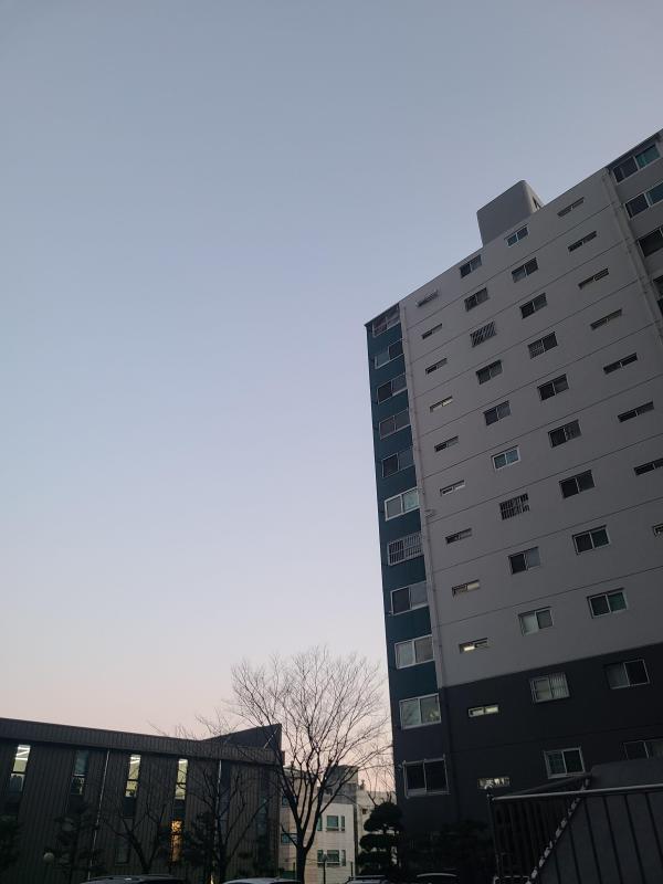 컨텐츠파일