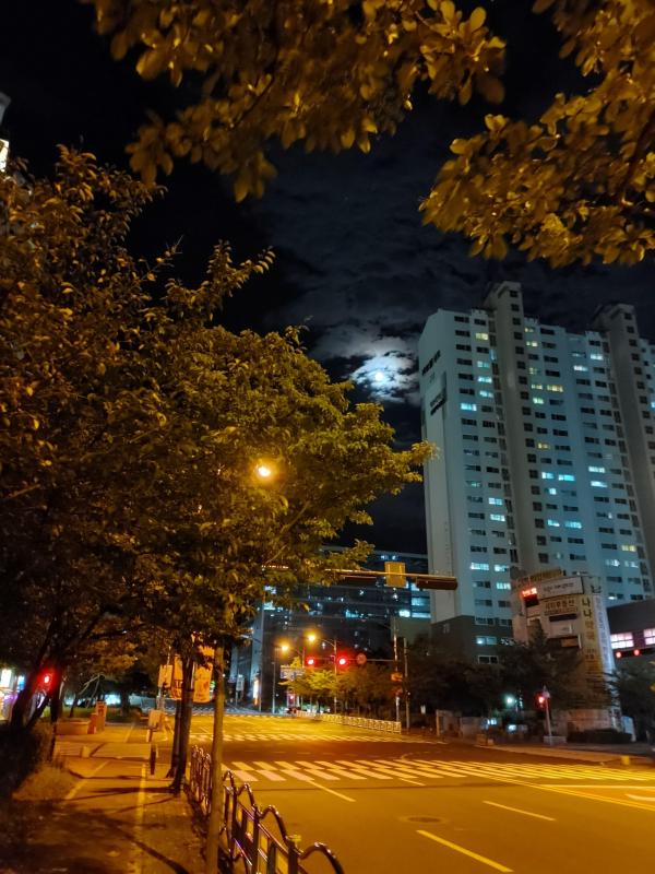컨텐츠파일