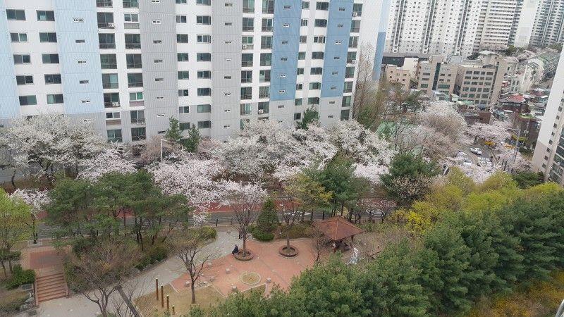 컨텐츠파일