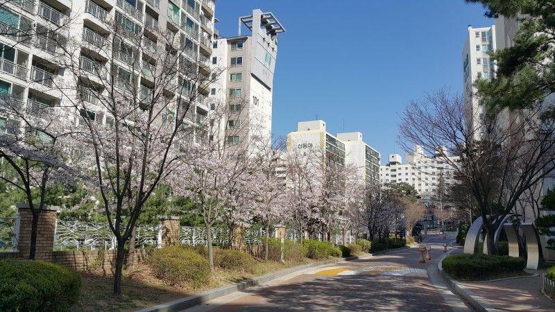 컨텐츠파일