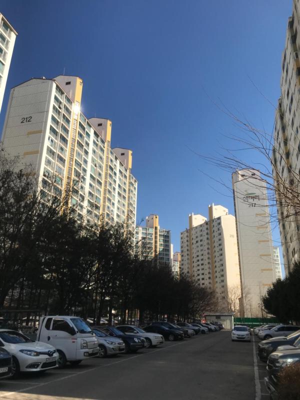 컨텐츠파일