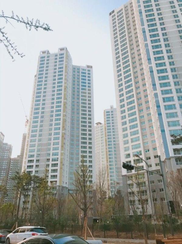 컨텐츠파일