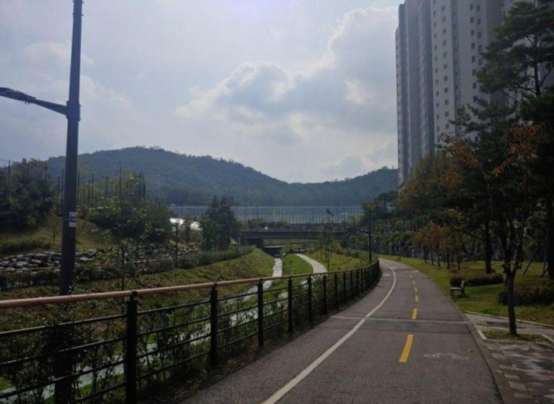 컨텐츠파일