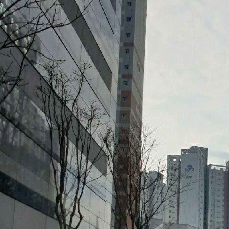 컨텐츠파일