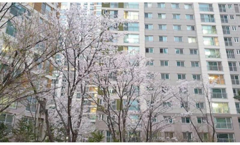 컨텐츠파일