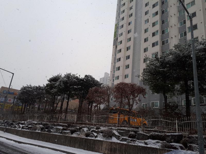 컨텐츠파일