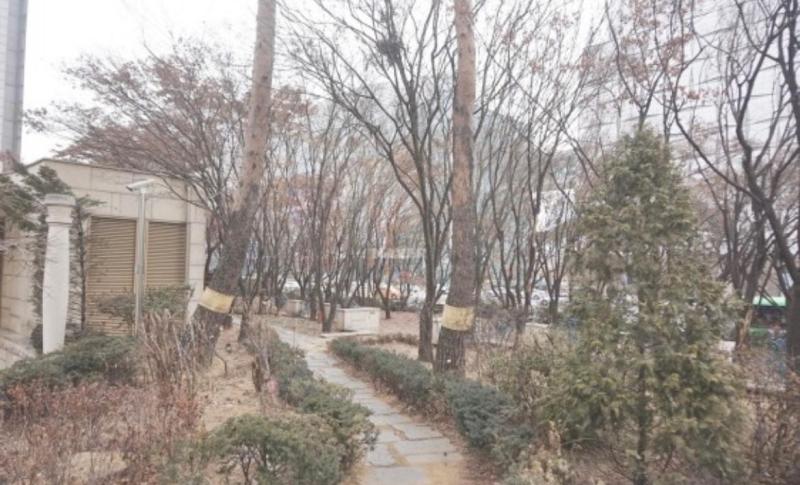 컨텐츠파일