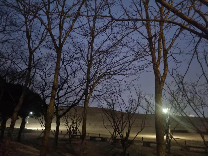 컨텐츠파일