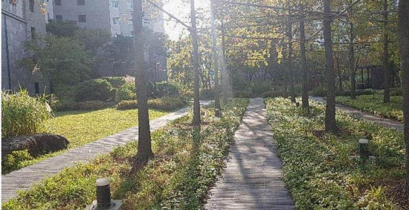 컨텐츠파일