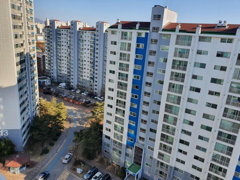 컨텐츠파일