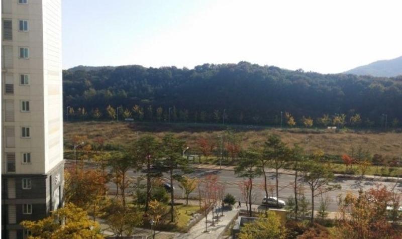 효효