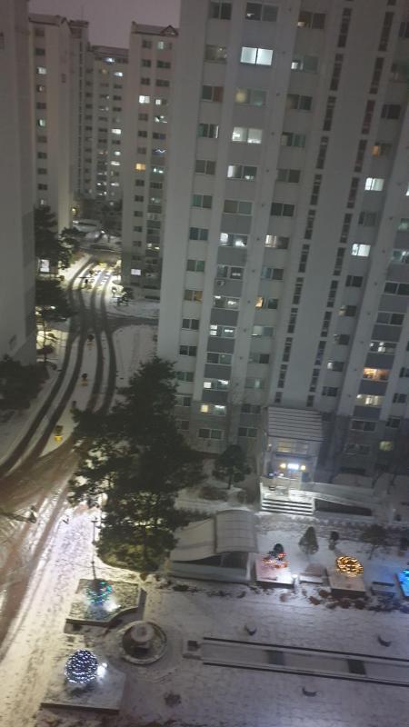 컨텐츠파일