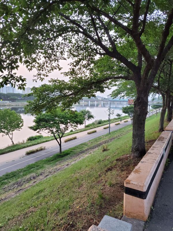 거북이용