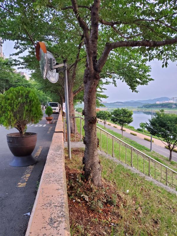 거북이용