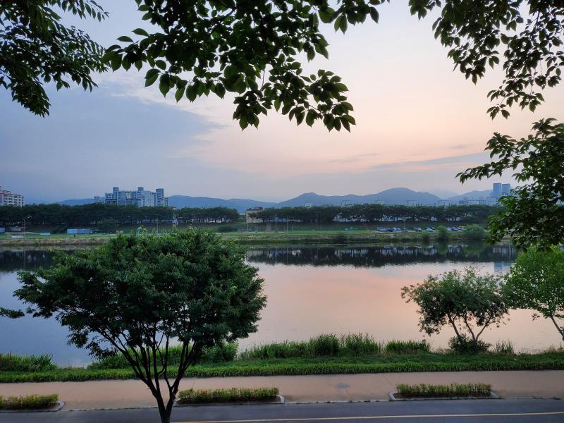 거북이용