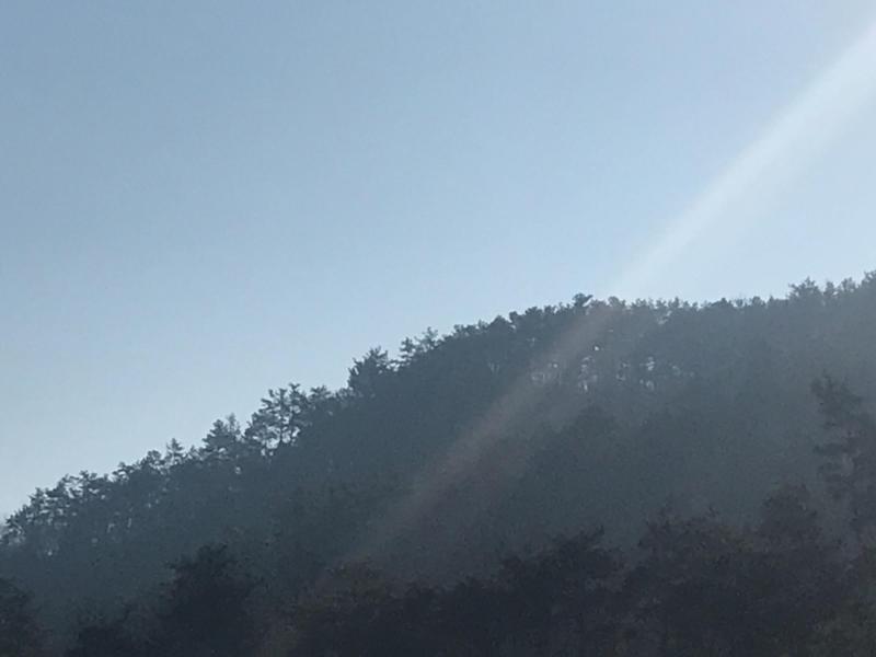 컨텐츠파일